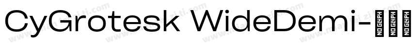 CyGrotesk WideDemi字体转换